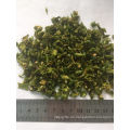 Heiße verkaufen luftgetrocknete dehydrierte grüne Paprika